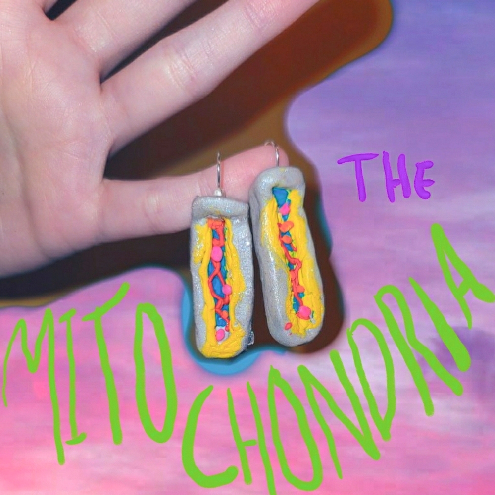 Cute 🦠🦠 Mitochondria Handmade Earrings STEM
